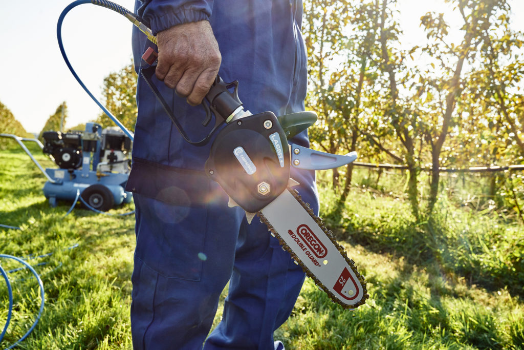 Campagnola pneumatic chainsaw Laser Eclipse Enterprises